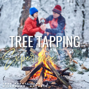 Tree Tapping Experience 2026